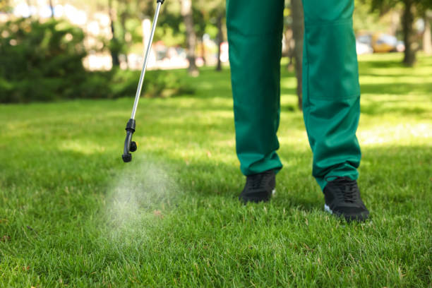 Best Pest Control for Businesses  in Proctor, VT