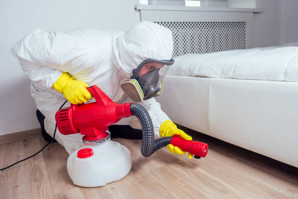 Pest Control Cost in Proctor, VT