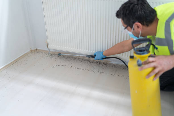 Best Commercial Pest Control Services  in Proctor, VT